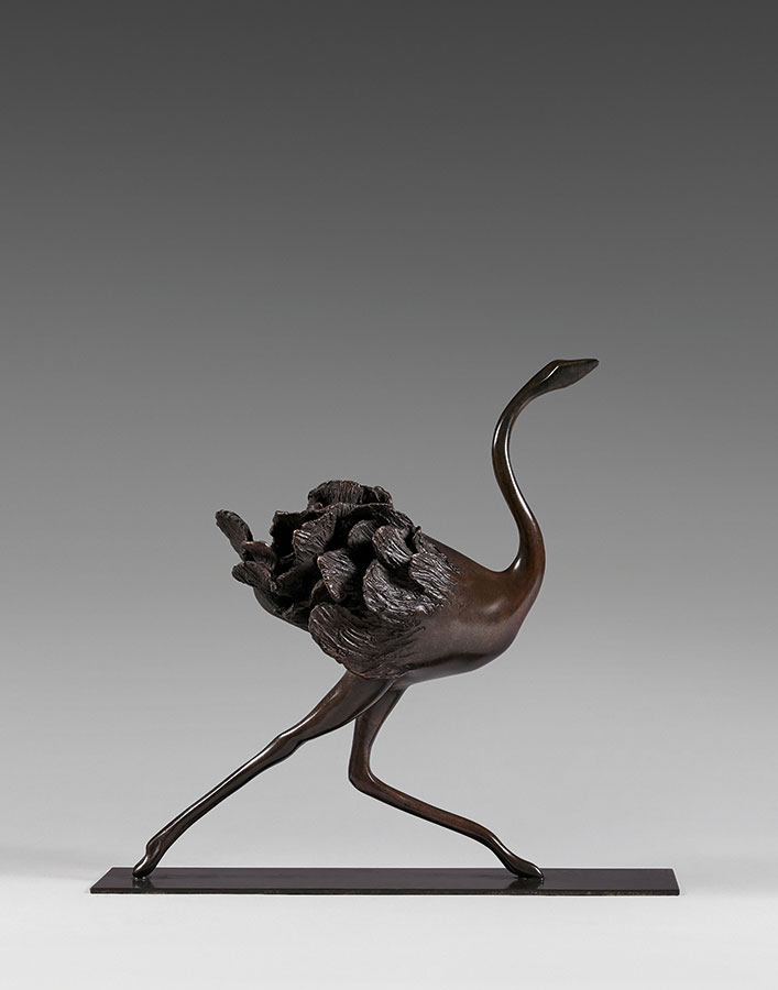 BRIZZI 01-Autruche-01-HD