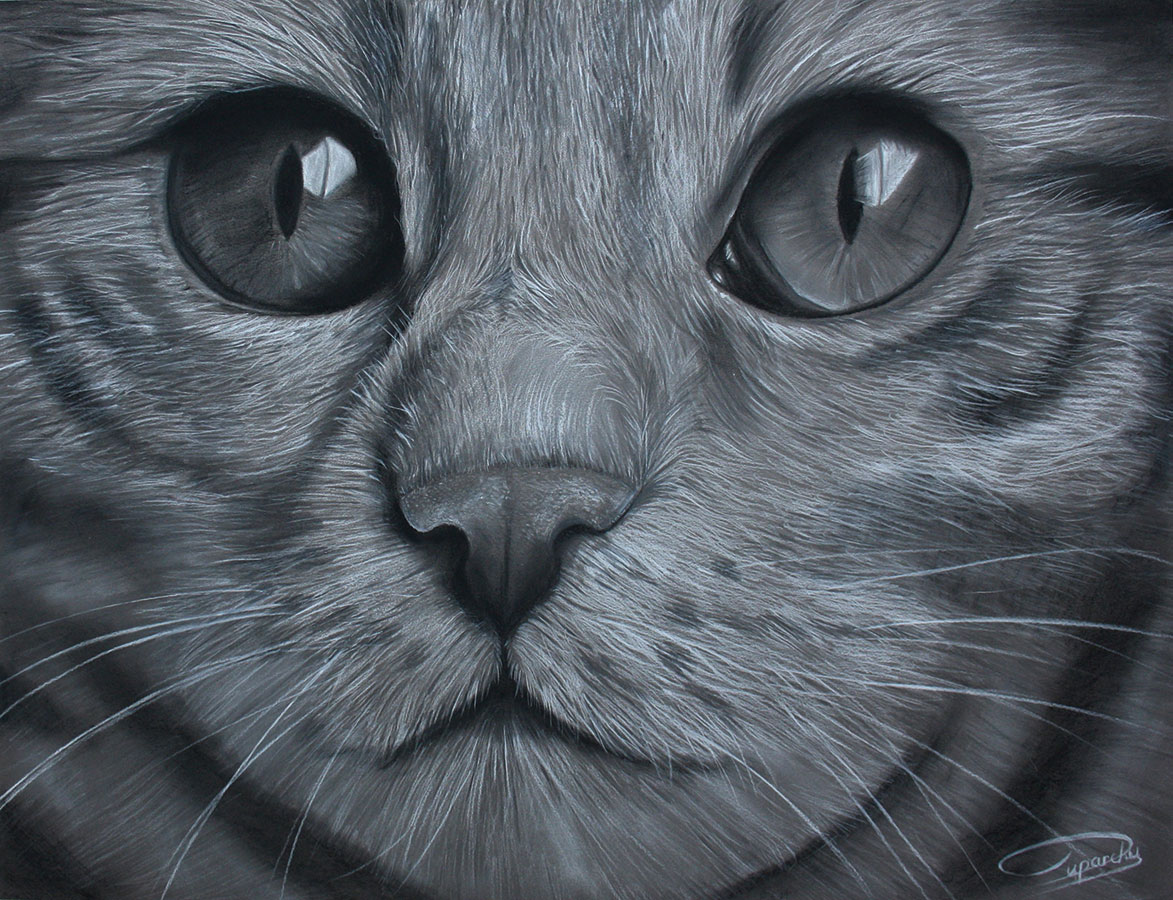 KAST 01-Bagheera-01-HD