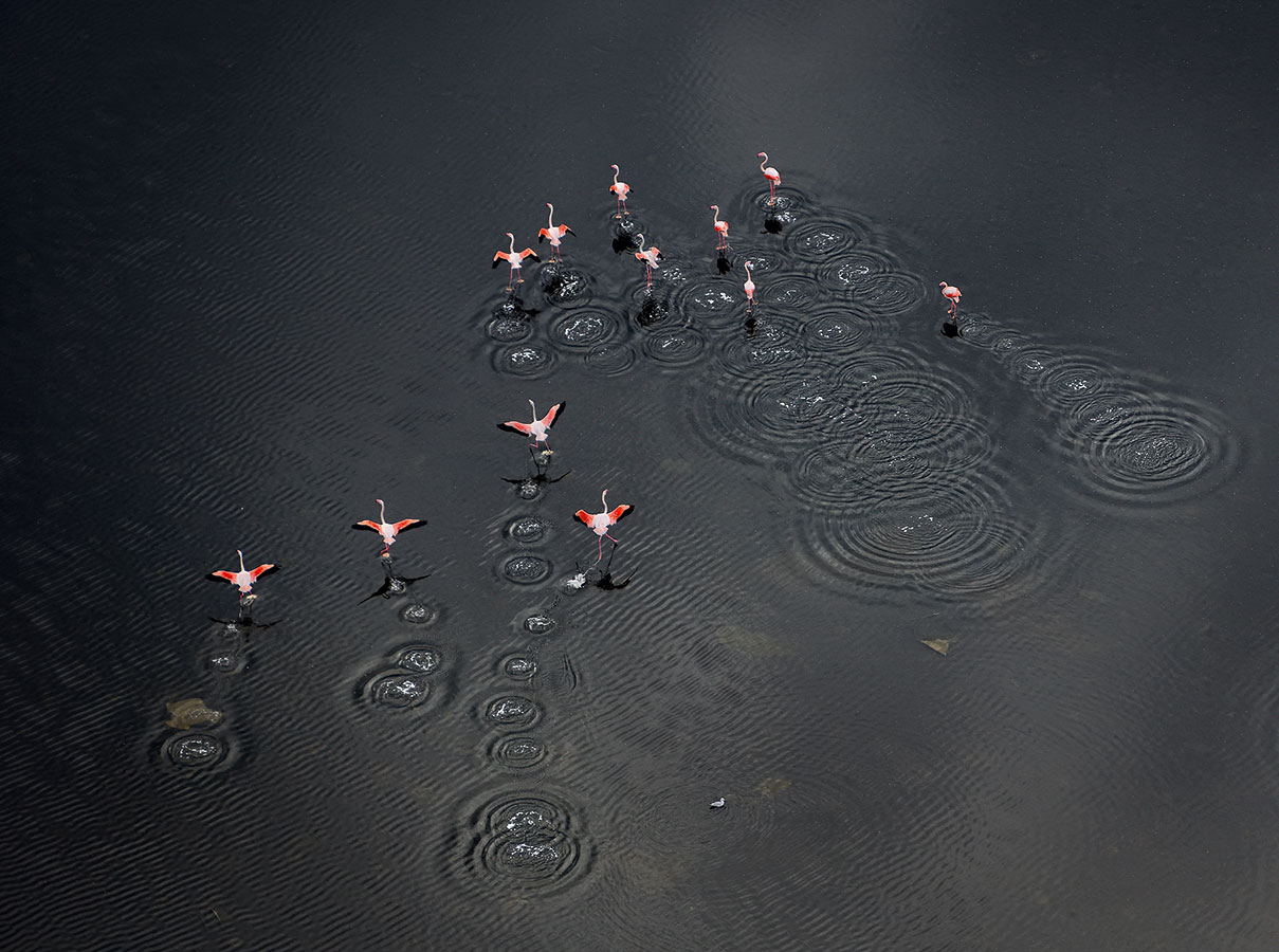 VEZON 01-Ricochets.-01-HD