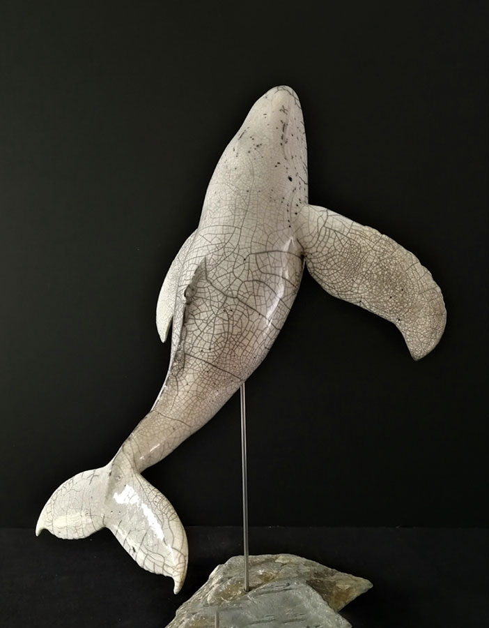 YVELIN 01-Baleine-Blanche-01-HD